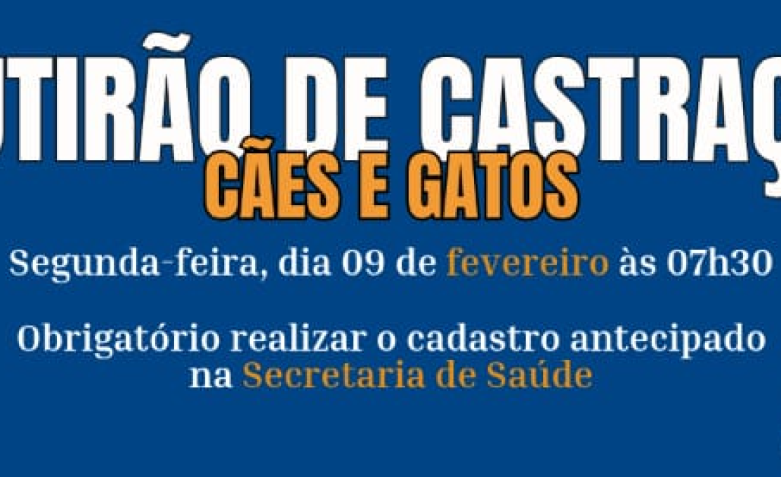 Prefeitura abre cadastro para mutirão de castração de cães e gatos