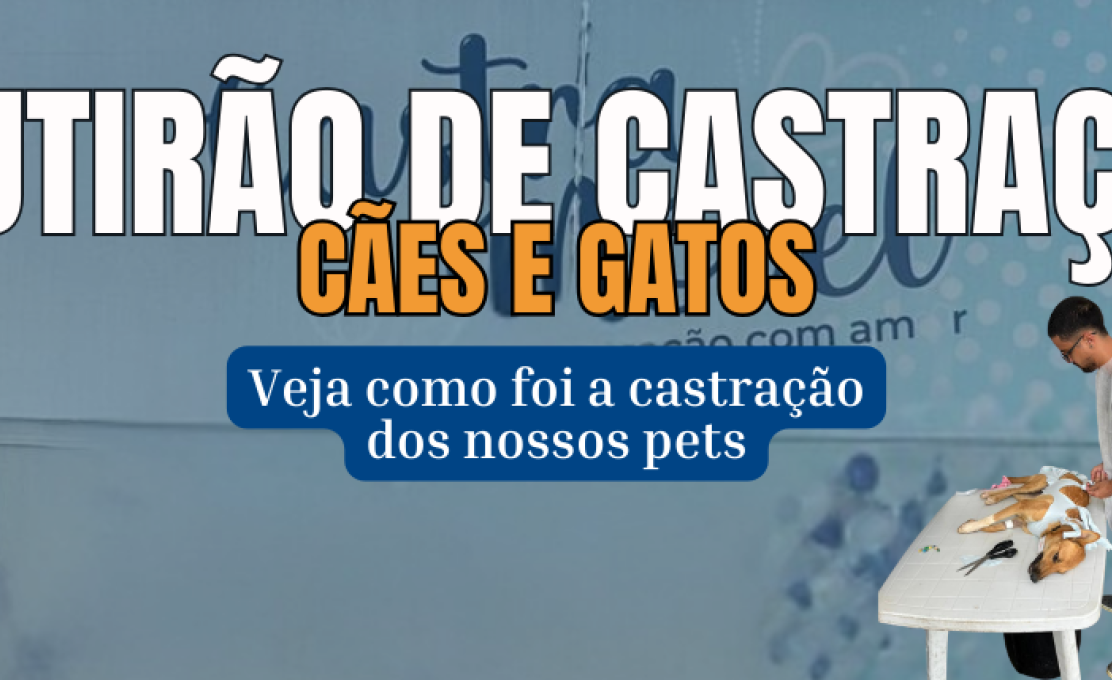 Santana de Pirapama fortalece políticas de proteção animal com mutirão